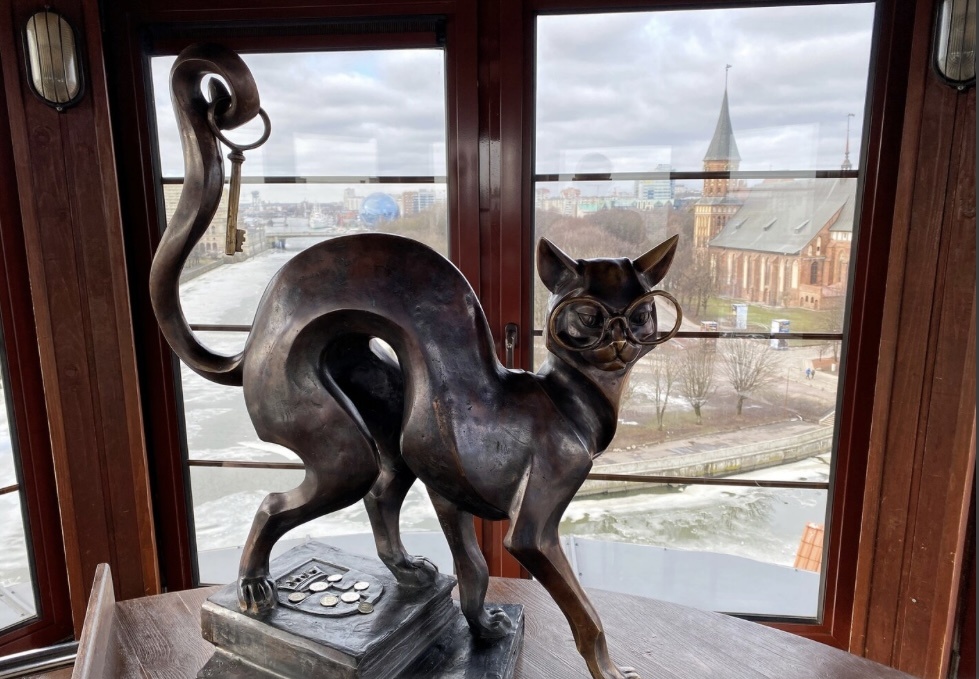 Кот ученый в маяке Рыбной деревни