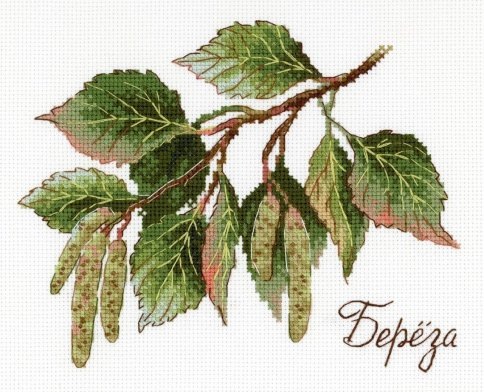 Дары природы. Берёза, набор для вышивания от М.П. Студия