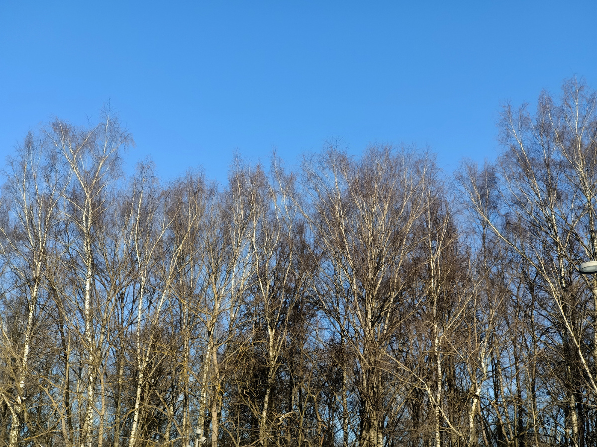 На удивление ясное, ещё февральское небо. Фото из личного архива 