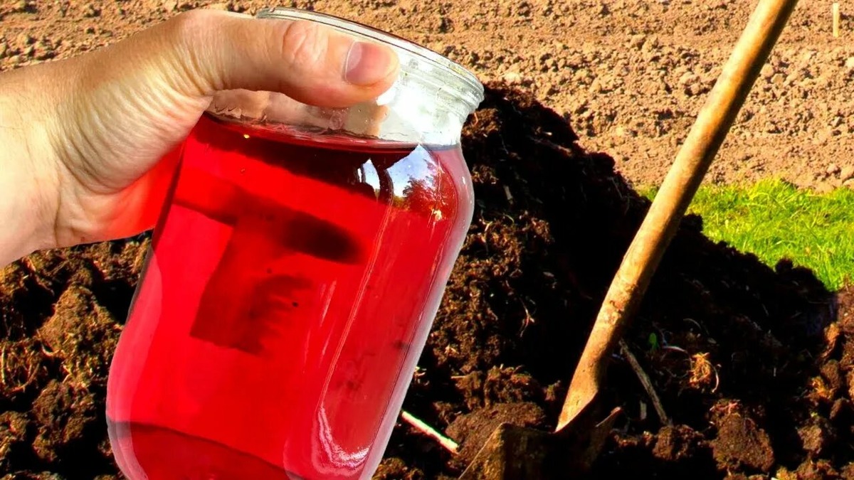 Обработка грунта