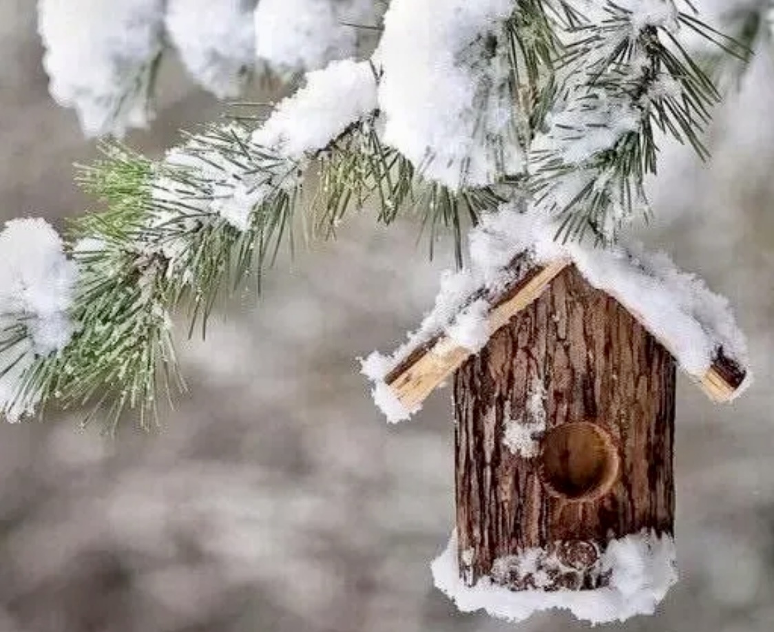 Где это дерево, где этот дом?! 