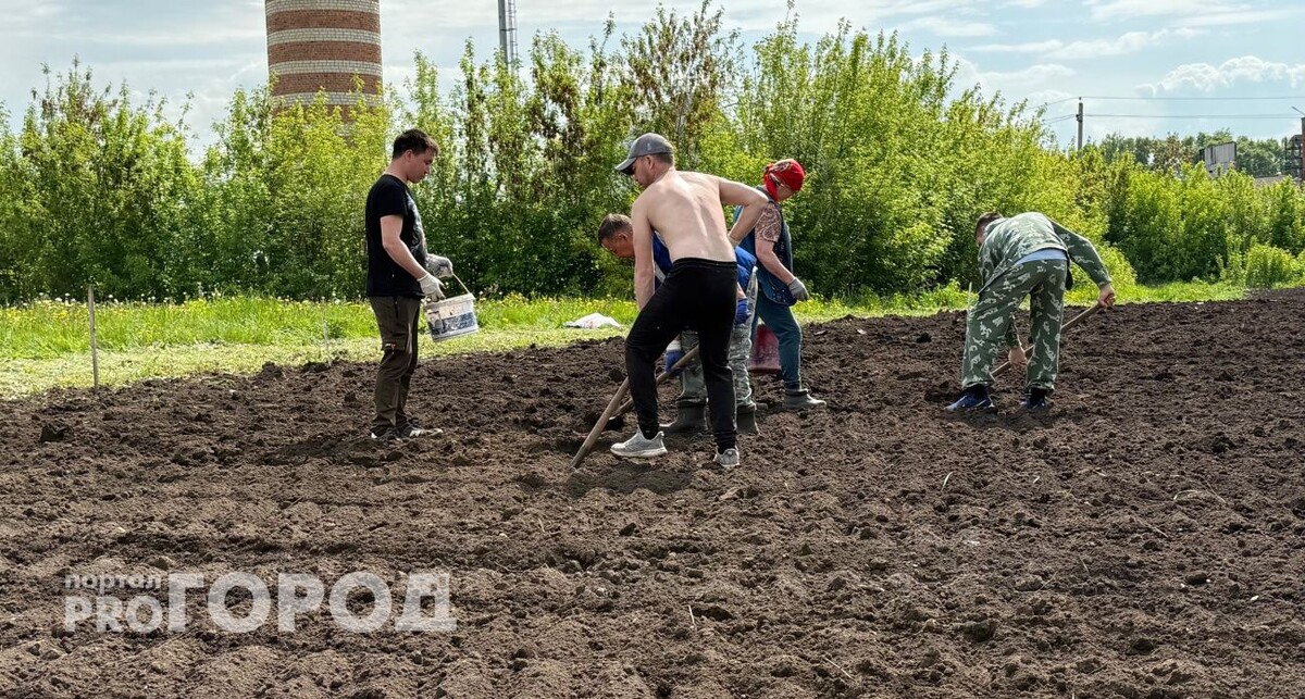    Из архива "Про Город"