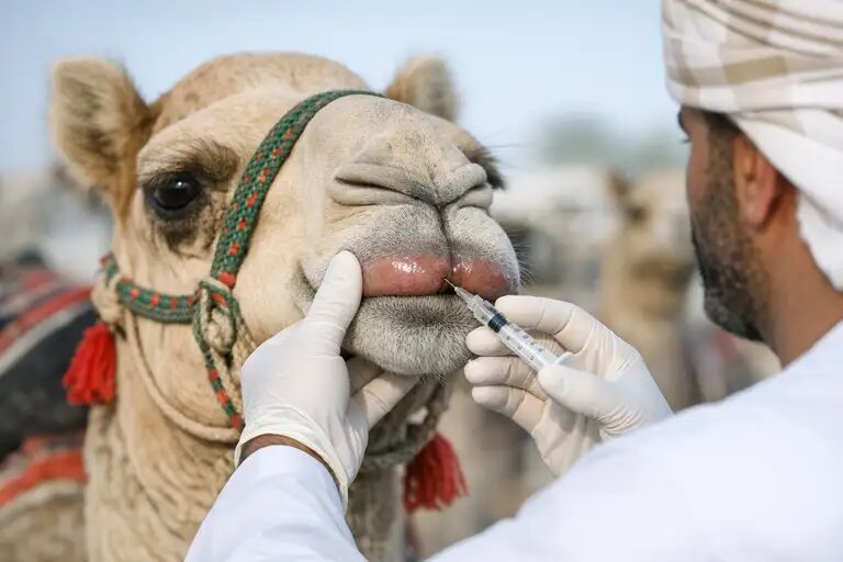    Иллюстративное фото