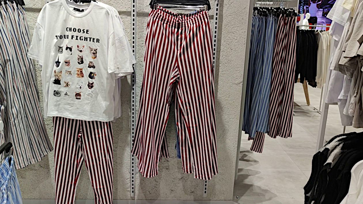 Все фото авторов