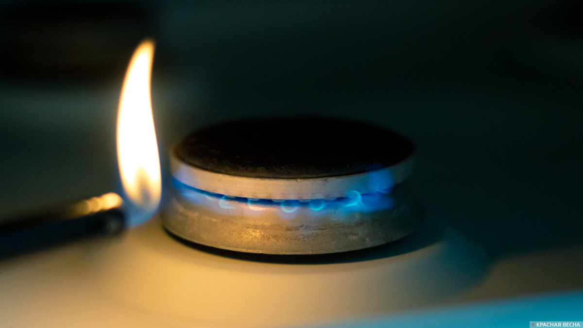     Газ   
Петр Данилов © ИА Красная Весна