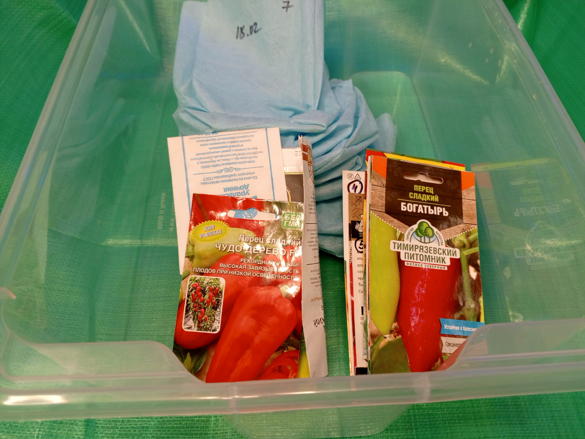 Готовлюсь к посеву