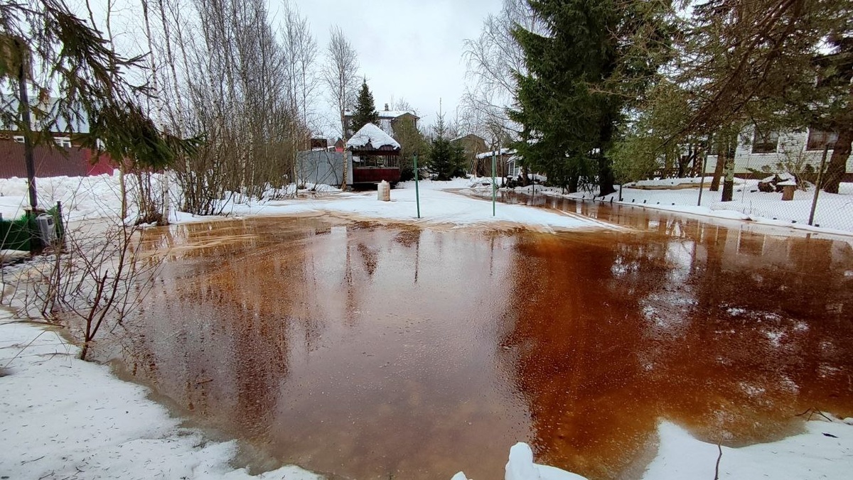 Характерная торфяная вода - вдали виднеется глыба льда с моего последнего погружения