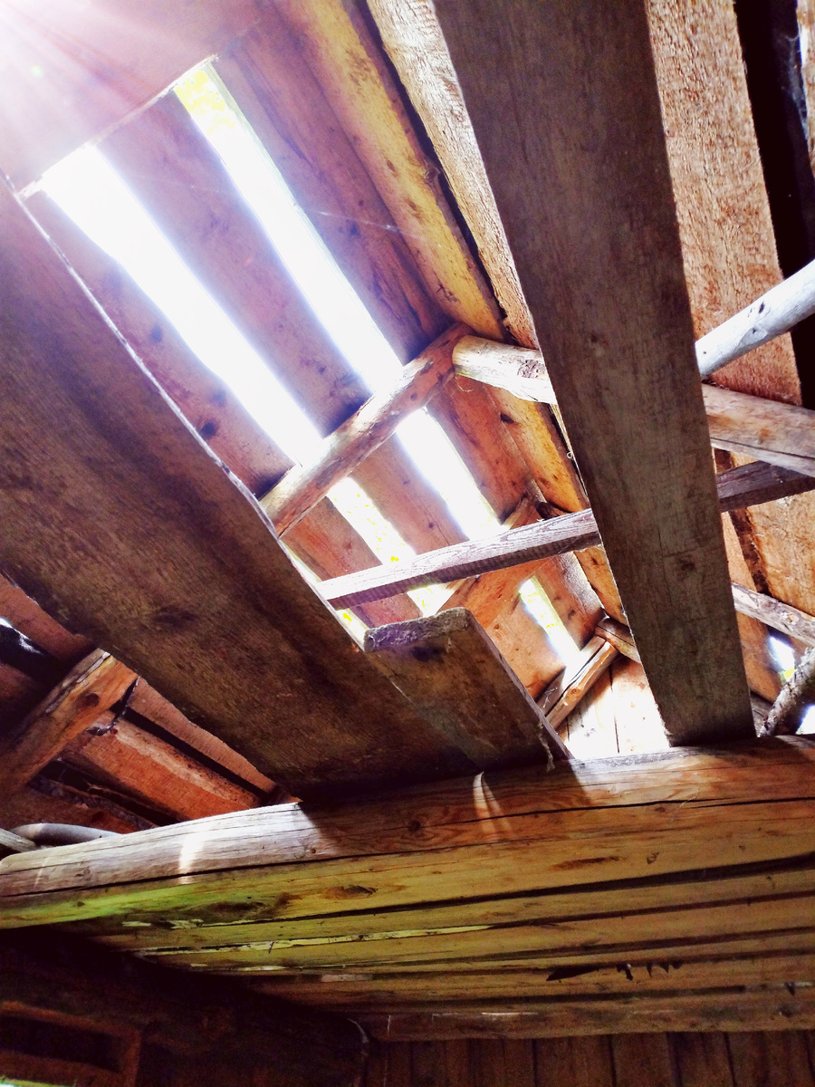 Крыша дома моего