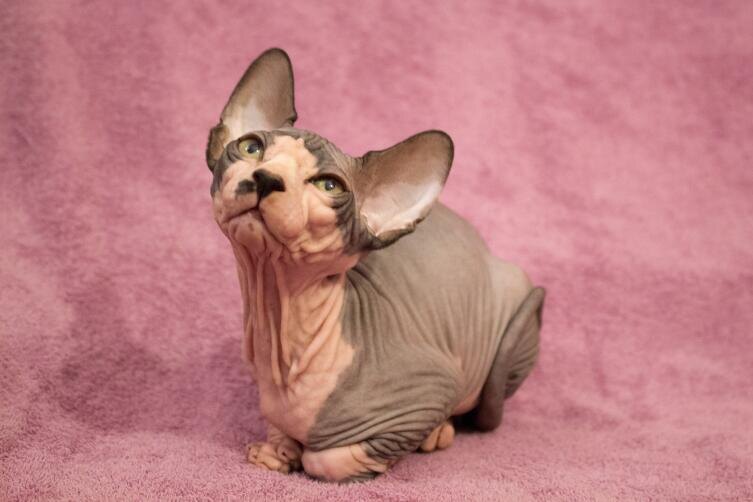    Фото: Т. Гусева, личный архив