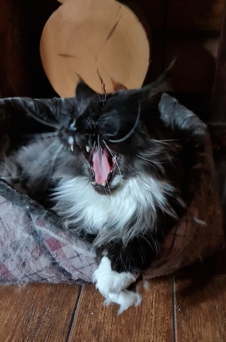 Мейнкун Бакарди (фотография из личного архива) 