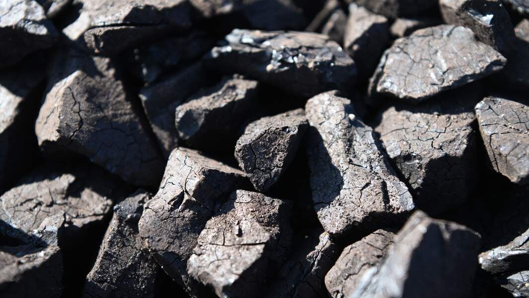    Фото: РИА Новости/Кристина Кормилицына