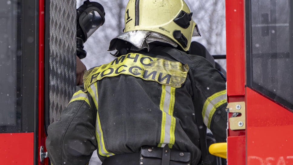 Фото: Егор Снетков / Коммерсантъ