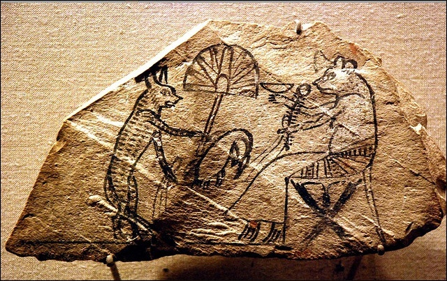 Кот обмахивает мышь веером