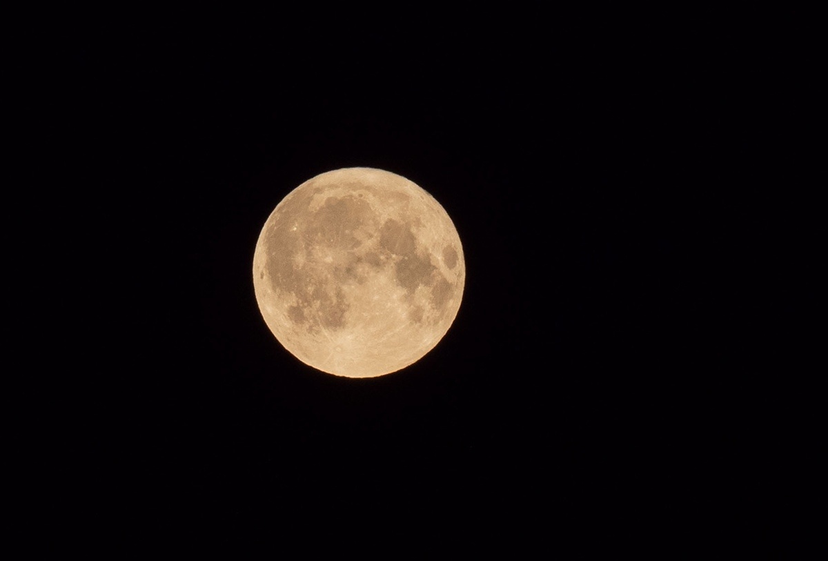    фото: © Игорь Подгорный