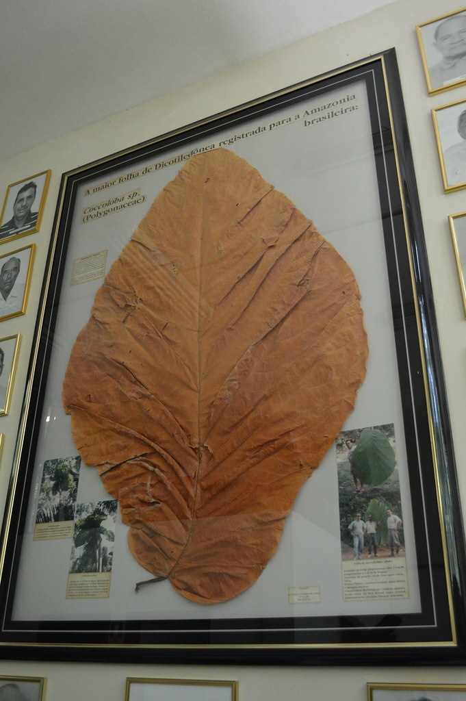 Фото: davidtng / flickr