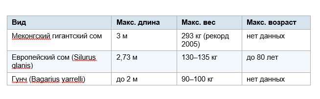 -4