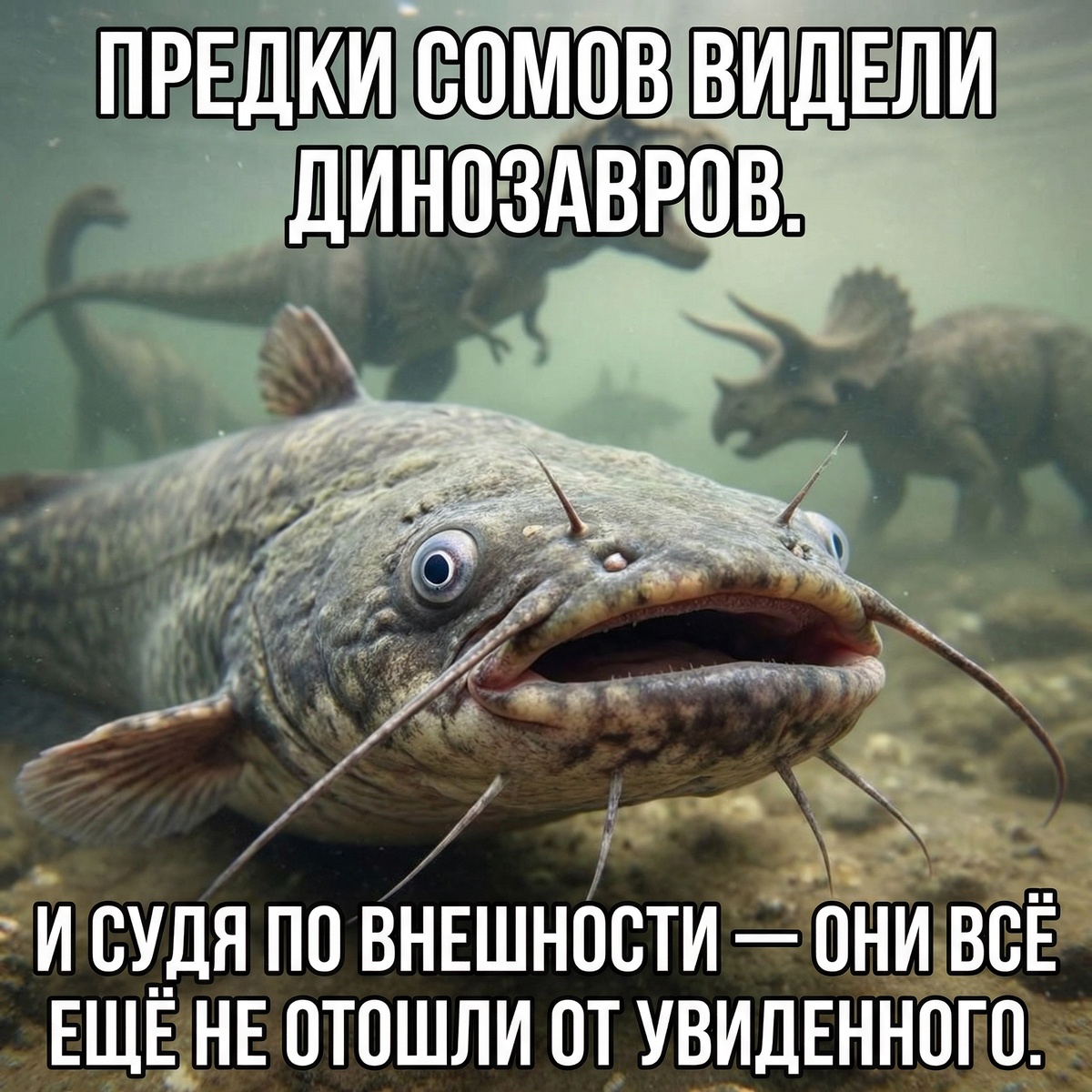 -11
