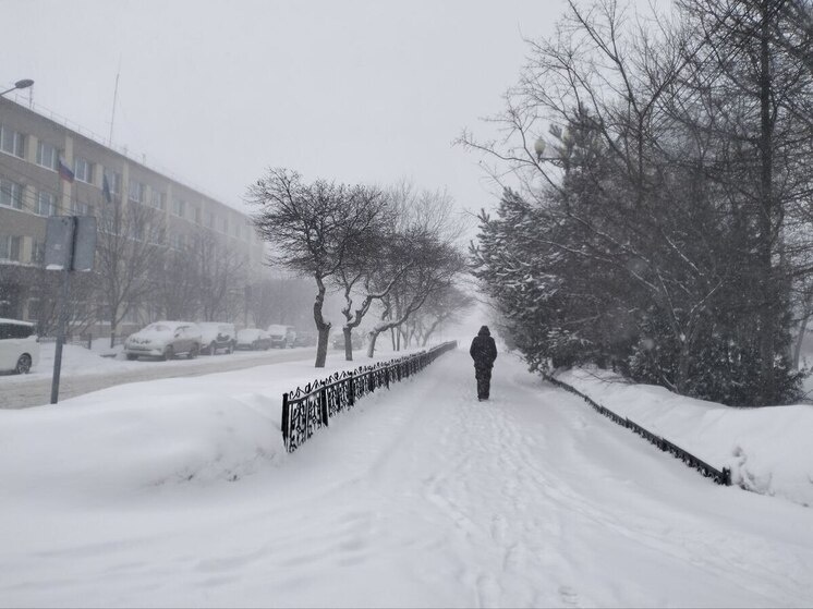     Фото: МК на Сахалине