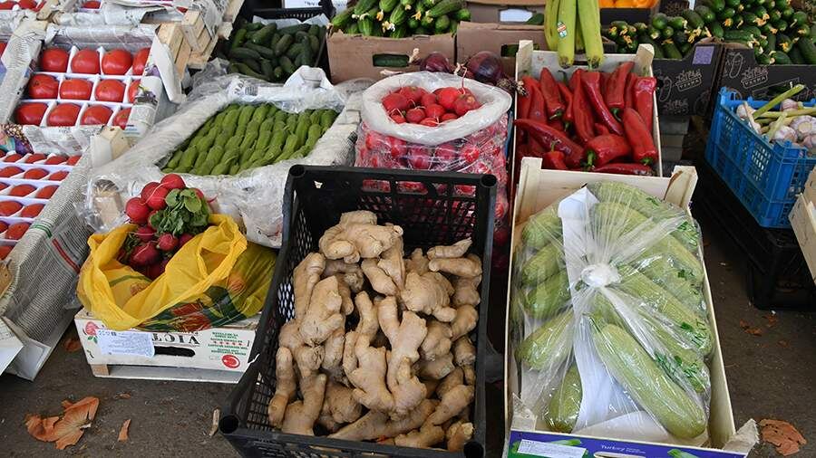    Фото: ИЗВЕСТИЯ/Алексей Агарышев