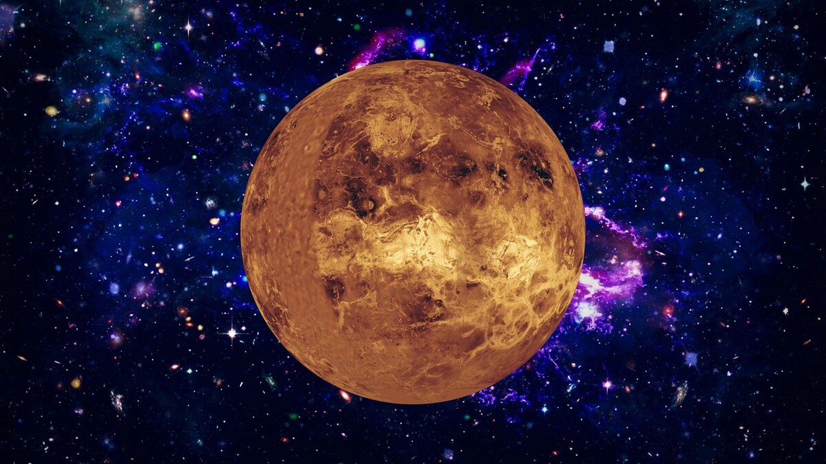    Фото: Vladi333/Shutterstock/Fotodom