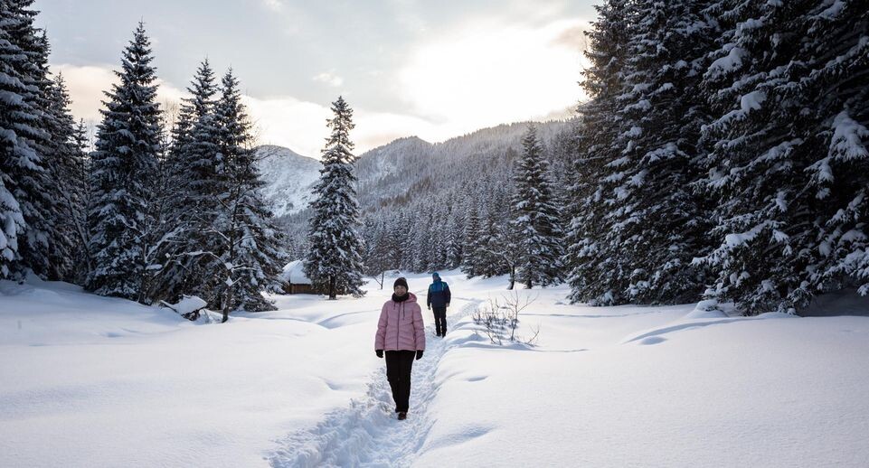    Dominika Zarzycka/Keystone Press Agency/Global Look Press / www.globallookpress.com