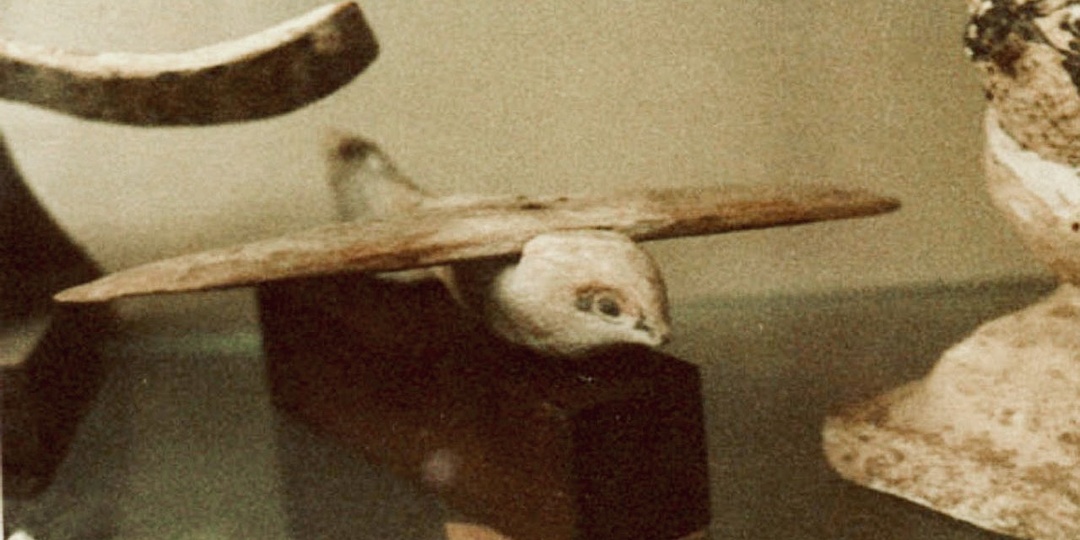 7 артефактов Египта, которые заставляют пересмотреть историю древнего мира: учёные в замешательстве