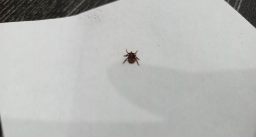    Фото из архива «Pro Города»