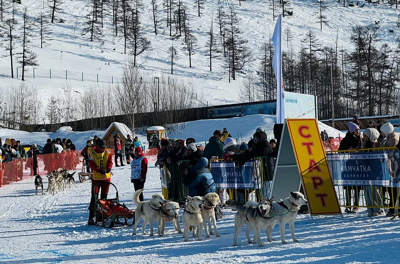 правительство Камчатского края