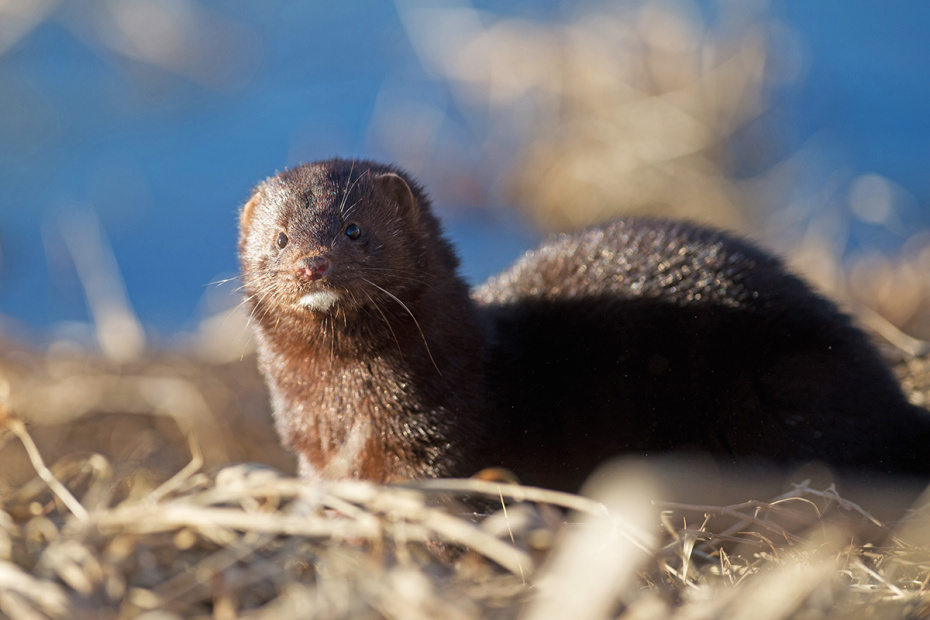    Klaus-Dietmar Gabbert/ZB/Global Look Press