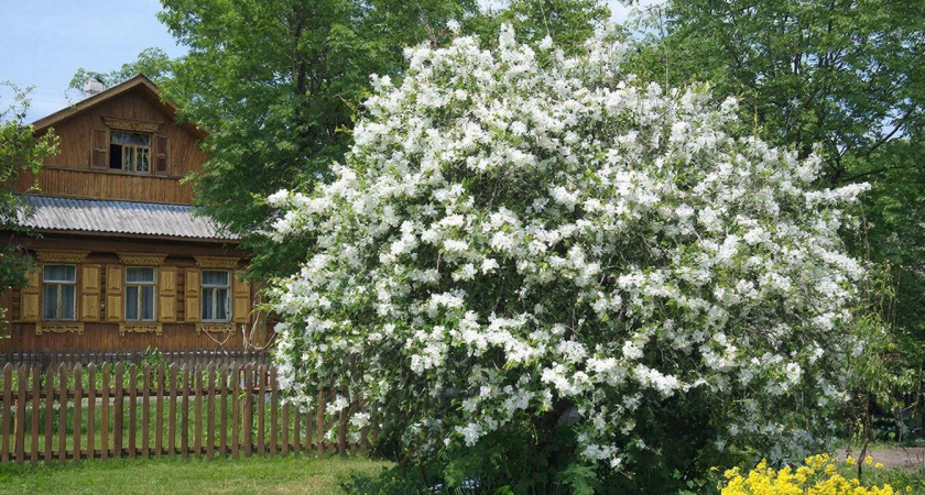    Сгенерировано в нейросети