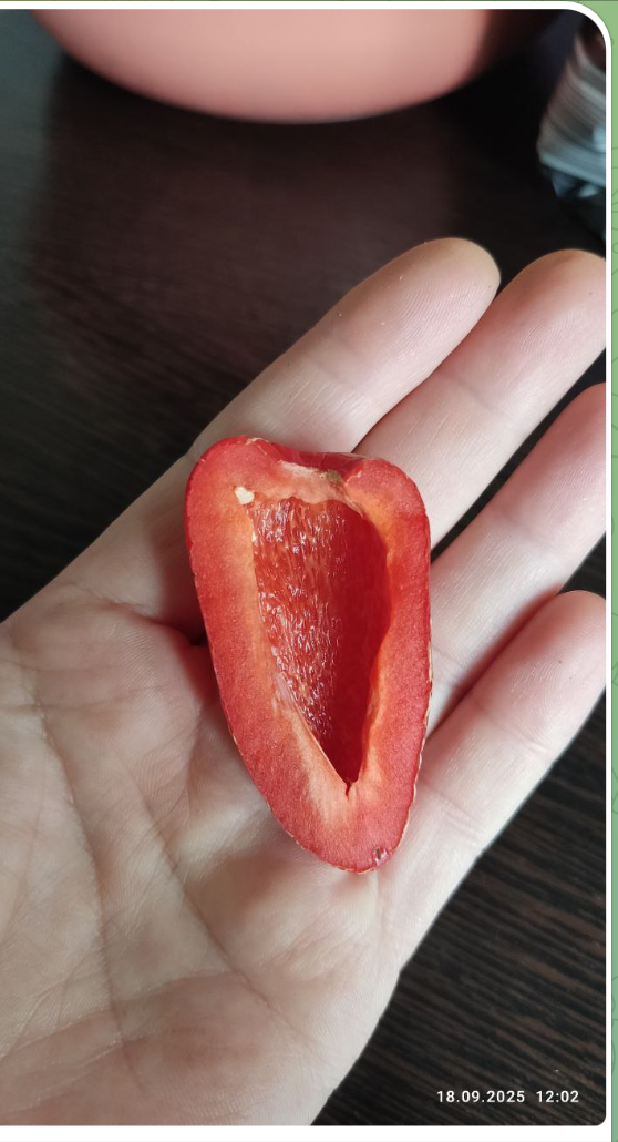 Фото хозяйки семян. 