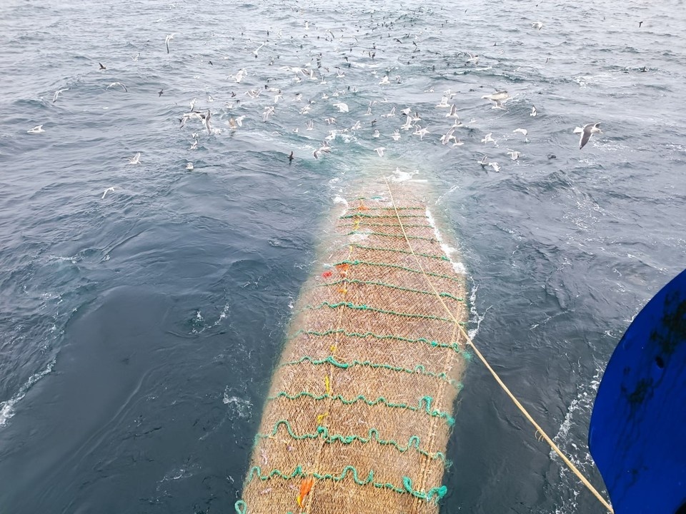    Они незаконно добыли 204 рыбы нельмы и муксуна. Наталья ВАРСЕГОВА