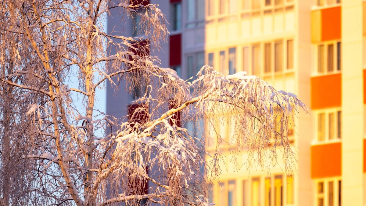    Фото: Федор Воронов / «Ямал-Медиа»