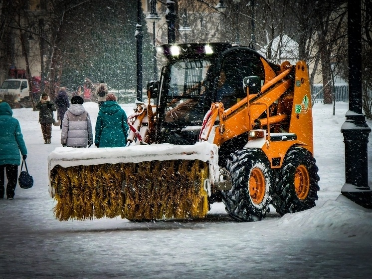     фото: Дмитрий Еланаков