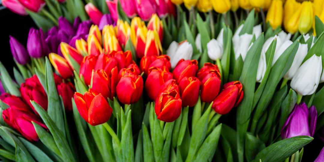 В Госдуме рассказали, будет ли 6 марта сокращенным рабочим днем