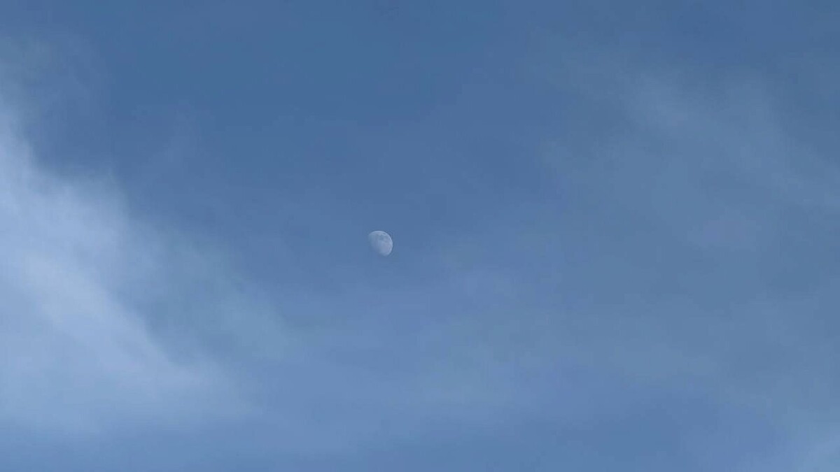    Фото: телеканал «Краснодар»