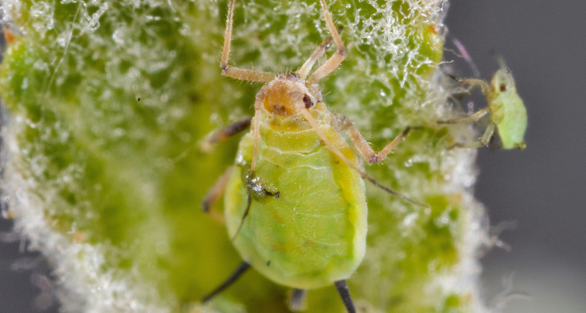    Фото с сайта unsplash.com