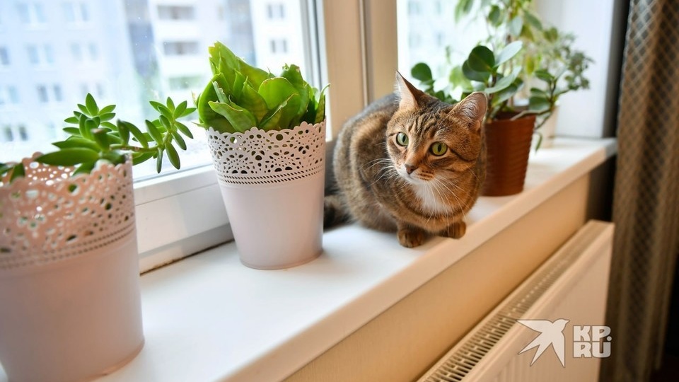 Свердловчан предупредили об изменениях в оплате ЖКУ с 1 марта