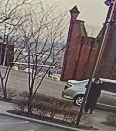    Источник фото: Соцсети