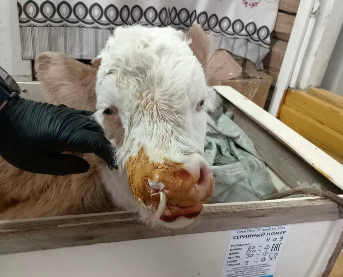    Фото: газета "Ньурба". Ulus.Media