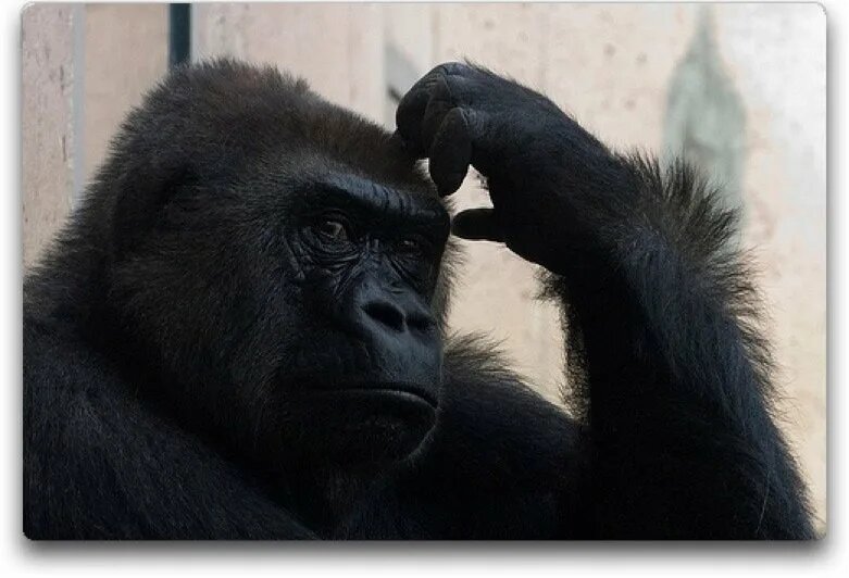 В поисках нити Ариадны: почему нас так манят тайны древних?