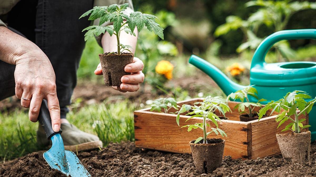    Фото: Shutterstock