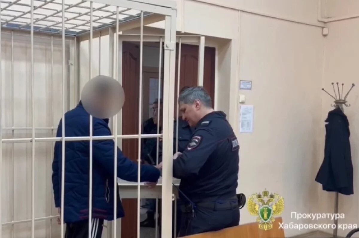    В Хабаровске судят водителя, насмерть сбившего 10-летнего мальчика