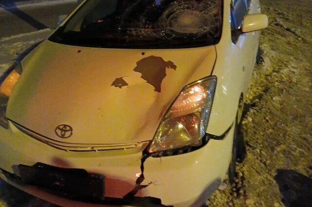    Фото: Max-канал Хабаровский следком