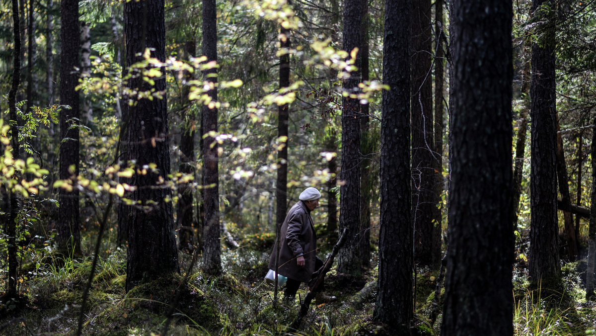    Лес грибник в лесу грибы РИА