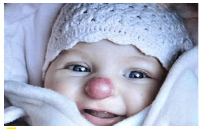 Фото: Литресс 