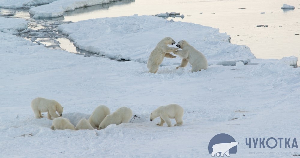 Фото: ИА "Чукотка" 