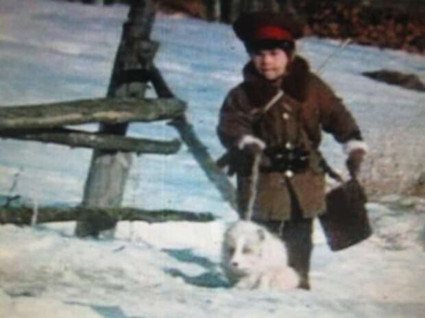 Из открытых источников интернета