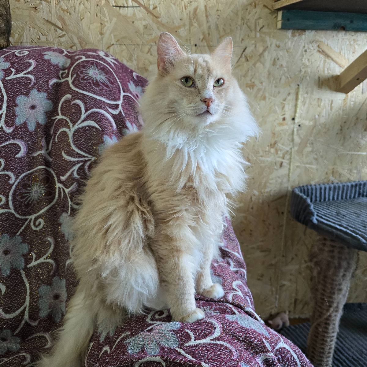 взгляд который пронзает душу и память