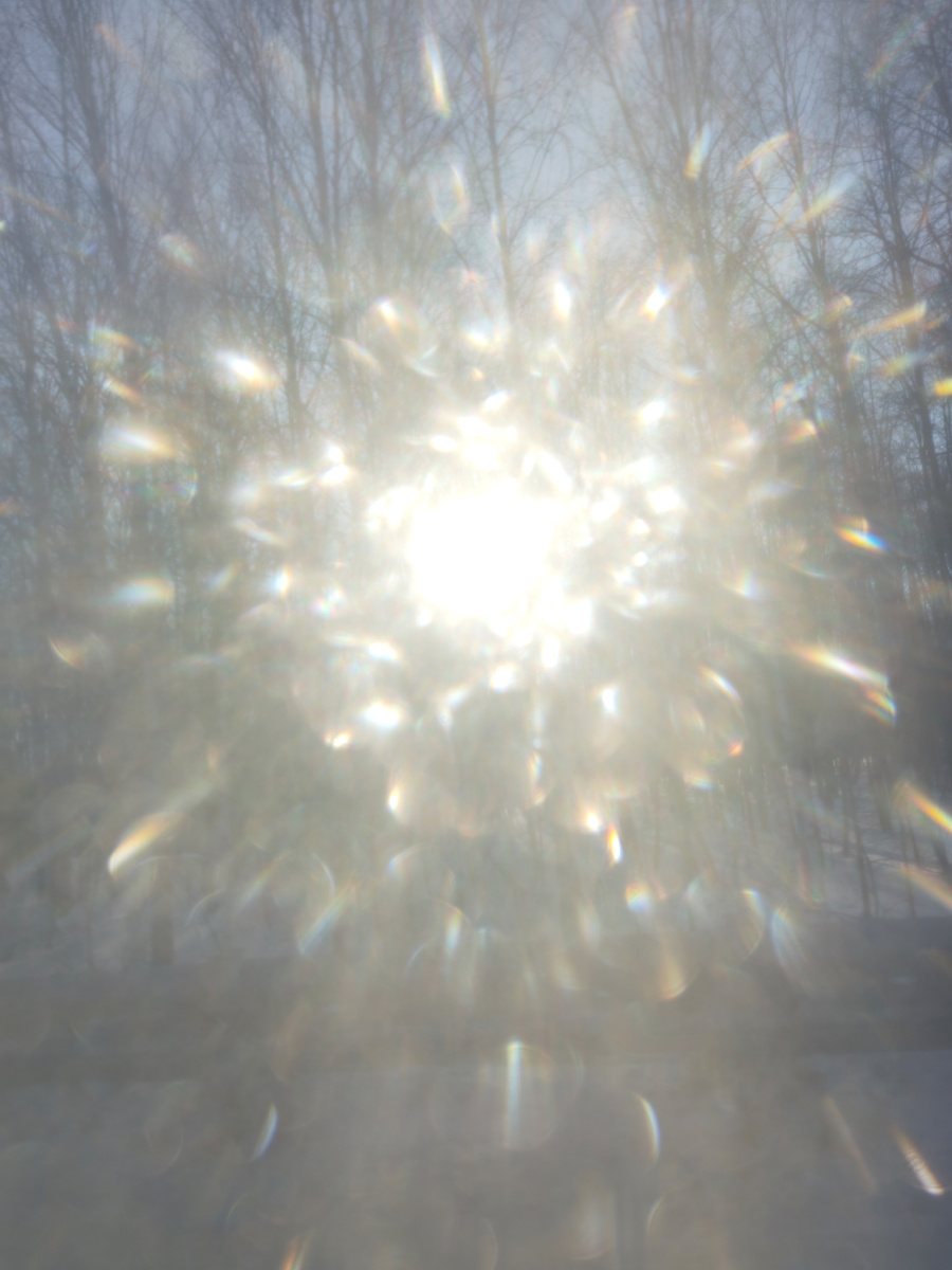 Яркое солнце в последний день февраля